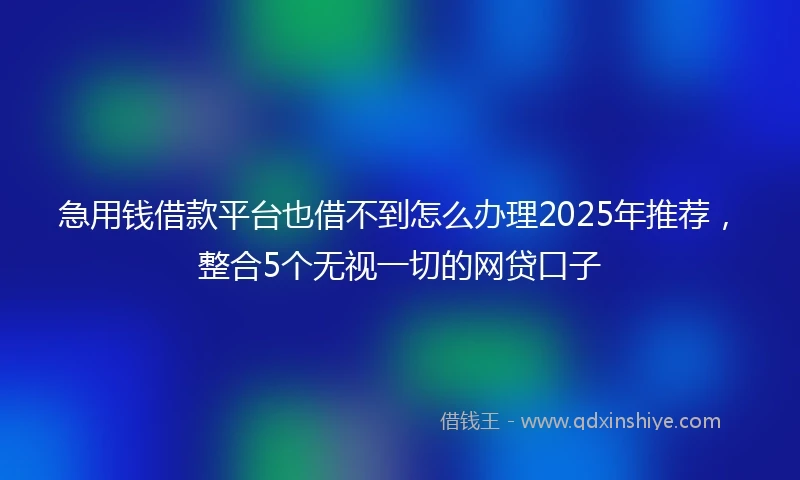 急用钱借款平台也借不到怎么办理2025年推荐，整合5个无视一切的网贷口子
