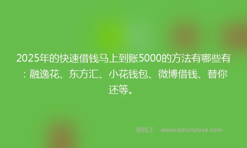 2025年的快速借钱马上到账5000的方法有哪些有：融逸花、东方汇、小花钱包、微博借钱、替你还等。