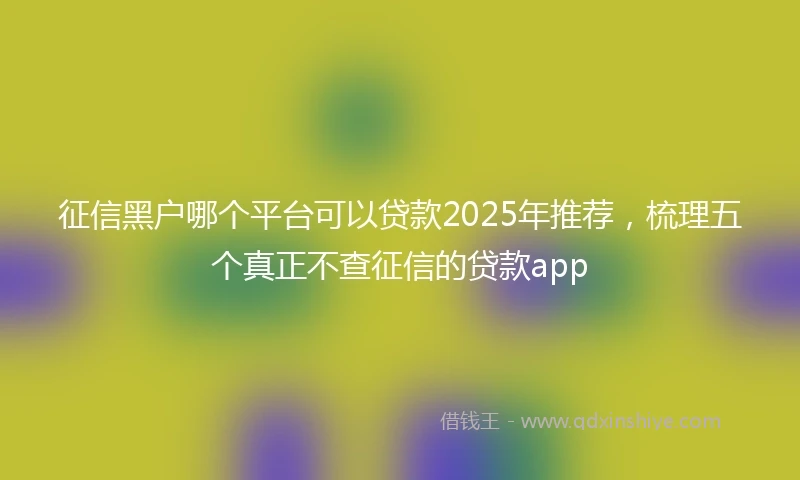 征信黑户哪个平台可以贷款2025年推荐，梳理五个真正不查征信的贷款app