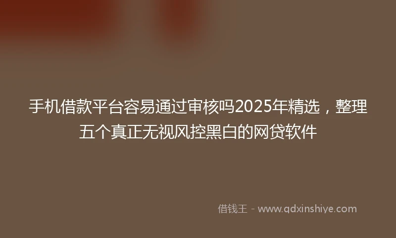 手机借款平台容易通过审核吗2025年精选，整理五个真正无视风控黑白的网贷软件