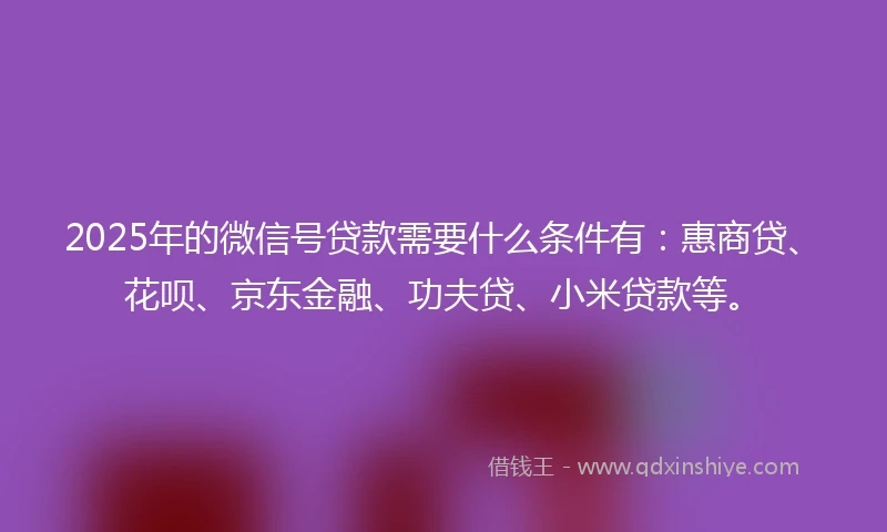 2025年的微信号贷款需要什么条件有：惠商贷、花呗、京东金融、功夫贷、小米贷款等。