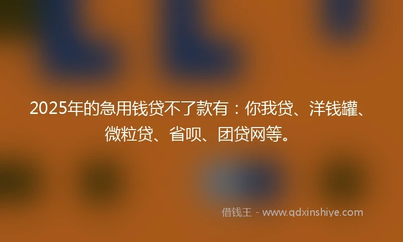 2025年的急用钱贷不了款有：你我贷、洋钱罐、微粒贷、省呗、团贷网等。