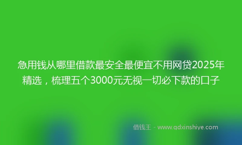 急用钱从哪里借款最安全最便宜不用网贷2025年精选，梳理五个3000元无视一切必下款的口子