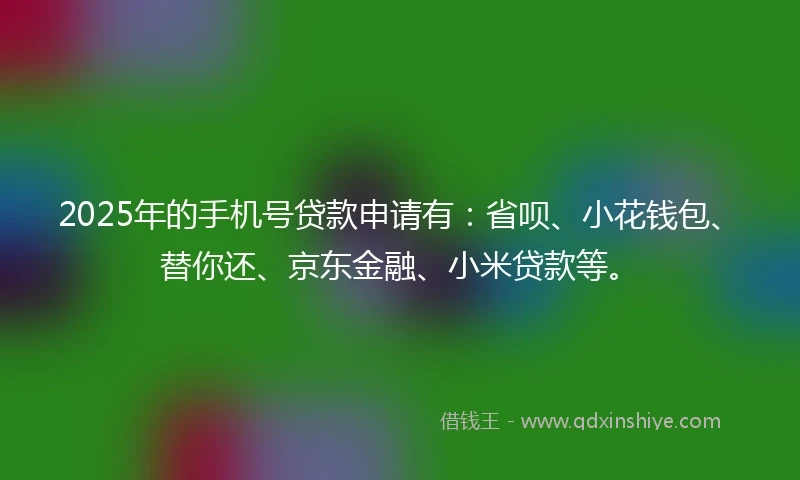 2025年的手机号贷款申请有：省呗、小花钱包、替你还、京东金融、小米贷款等。