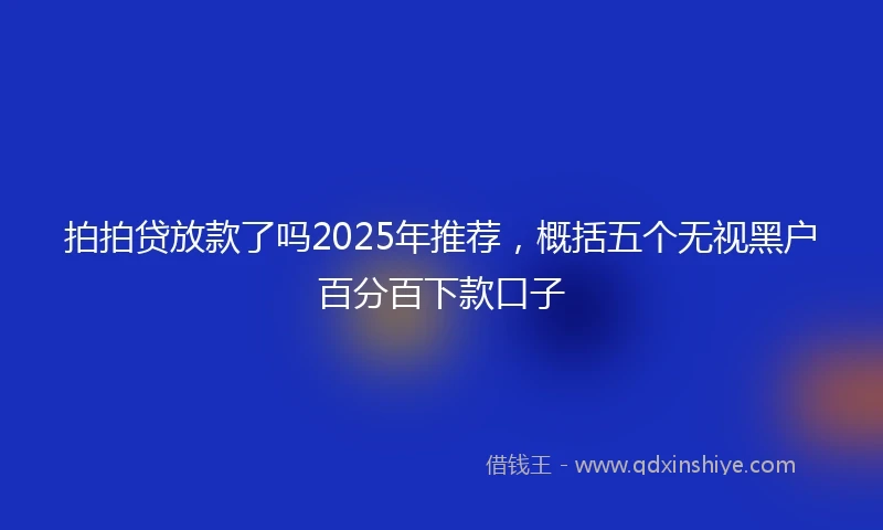 拍拍贷放款了吗2025年推荐，概括五个无视黑户百分百下款口子