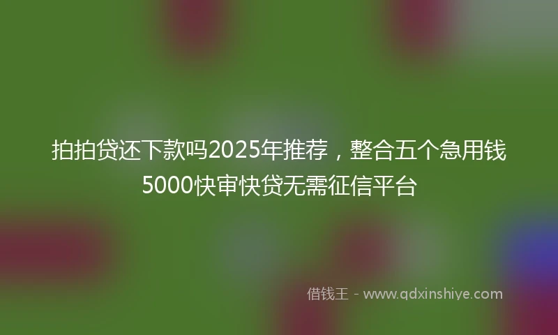 拍拍贷还下款吗2025年推荐，整合五个急用钱5000快审快贷无需征信平台