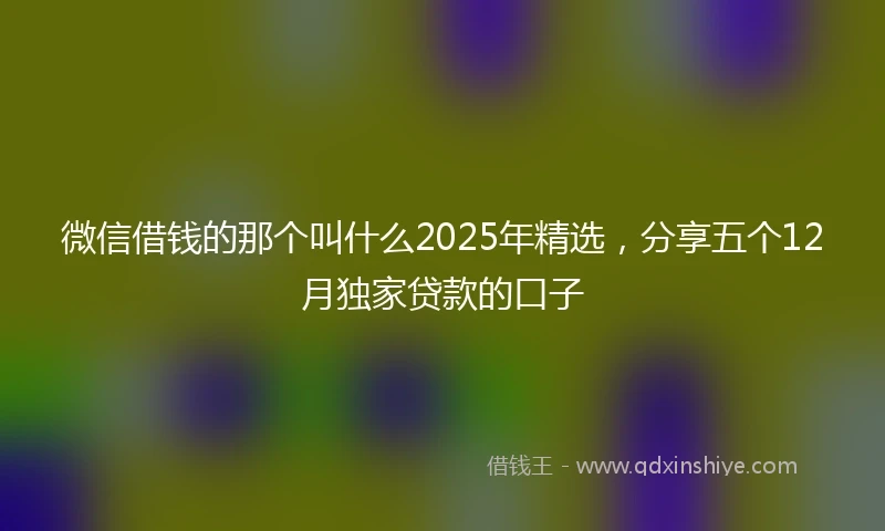 微信借钱的那个叫什么2025年精选，分享五个12月独家贷款的口子