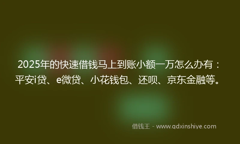 2025年的快速借钱马上到账小额一万怎么办有：平安i贷、e微贷、小花钱包、还呗、京东金融等。