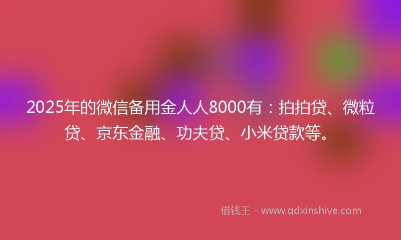 2025年的微信备用金人人8000有：拍拍贷、微粒贷、京东金融、功夫贷、小米贷款等。