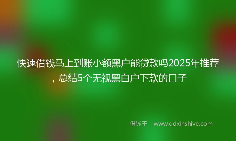 快速借钱马上到账小额黑户能贷款吗2025年推荐，总结5个无视黑白户下款的口子