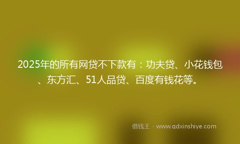 2025年的所有网贷不下款有：功夫贷、小花钱包、东方汇、51人品贷、百度有钱花等。