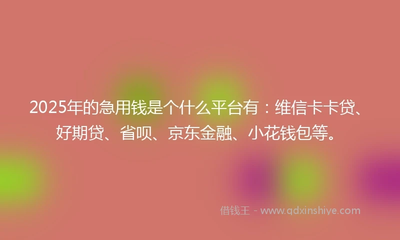 2025年的急用钱是个什么平台有：维信卡卡贷、好期贷、省呗、京东金融、小花钱包等。