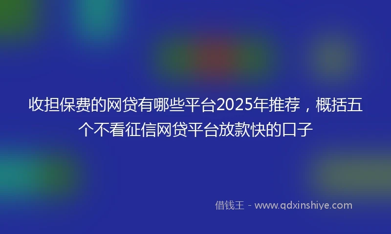 收担保费的网贷有哪些平台2025年推荐，概括五个不看征信网贷平台放款快的口子