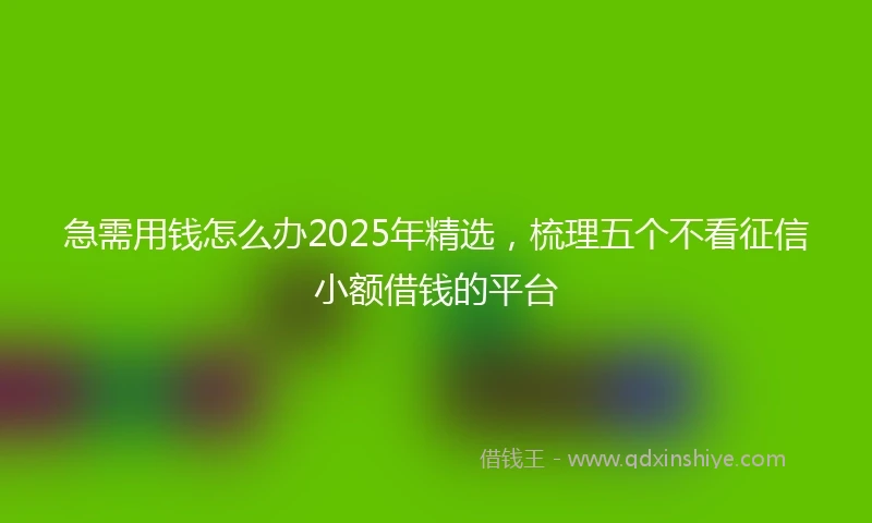 急需用钱怎么办2025年精选，梳理五个不看征信小额借钱的平台