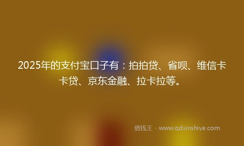 2025年的支付宝口子有：拍拍贷、省呗、维信卡卡贷、京东金融、拉卡拉等。
