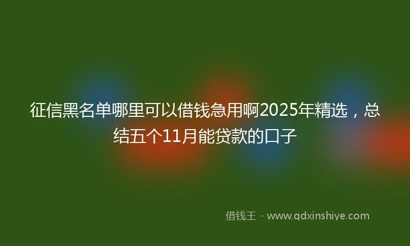 征信黑名单哪里可以借钱急用啊2025年精选，总结五个11月能贷款的口子