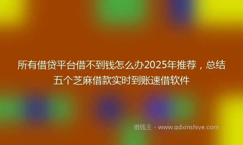 所有借贷平台借不到钱怎么办2025年推荐，总结五个芝麻借款实时到账速借软件