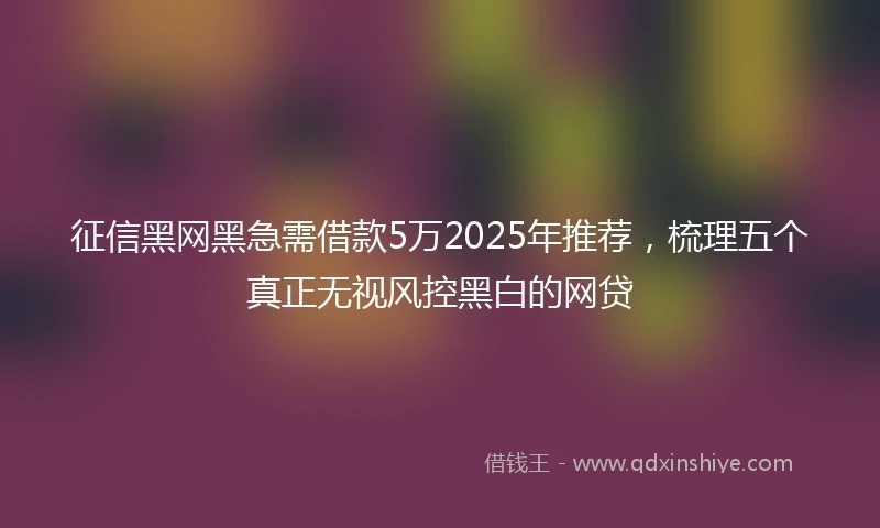 征信黑网黑急需借款5万2025年推荐，梳理五个真正无视风控黑白的网贷