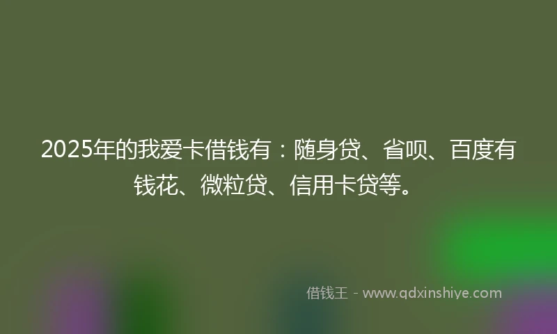 2025年的我爱卡借钱有：随身贷、省呗、百度有钱花、微粒贷、信用卡贷等。