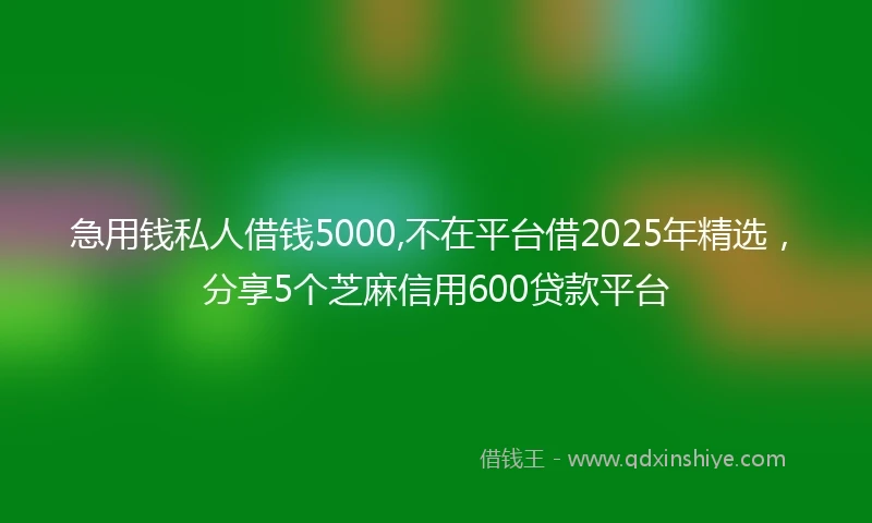 急用钱私人借钱5000,不在平台借2025年精选，分享5个芝麻信用600贷款平台
