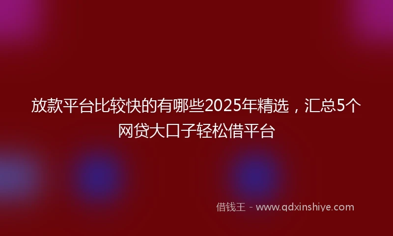 放款平台比较快的有哪些2025年精选，汇总5个网贷大口子轻松借平台