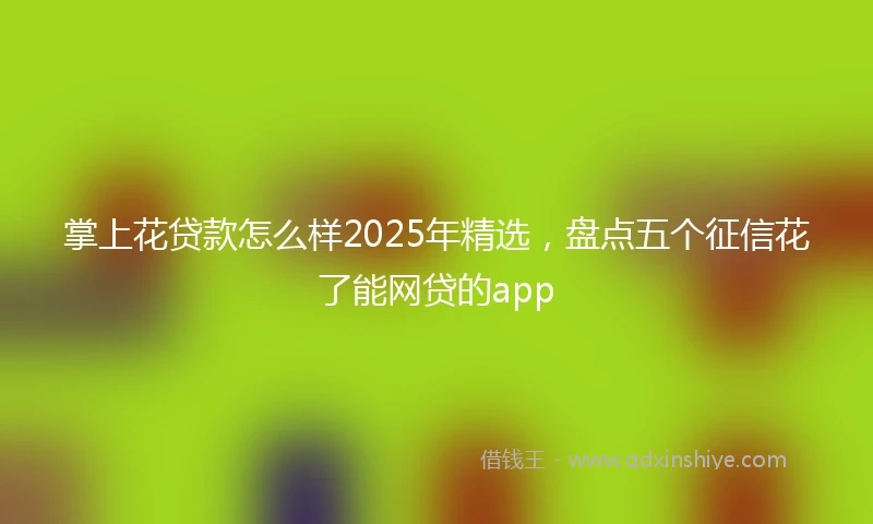 掌上花贷款怎么样2025年精选，盘点五个征信花了能网贷的app