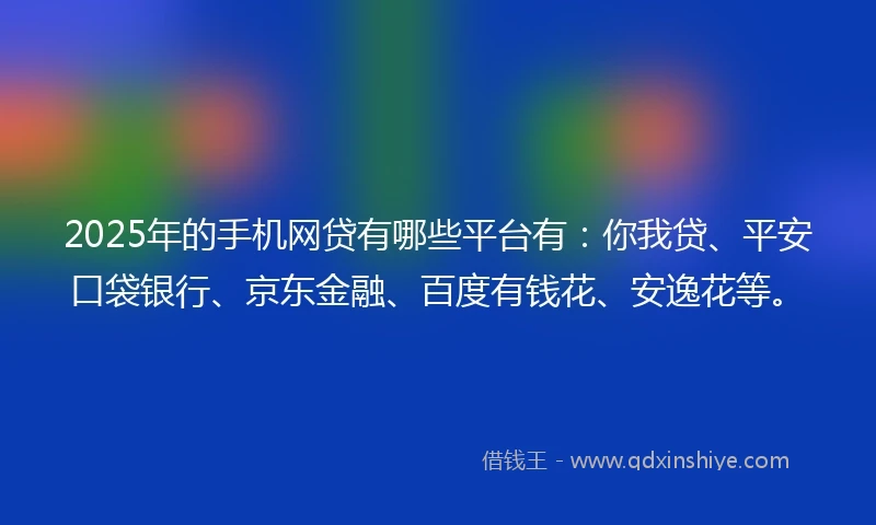 2025年的手机网贷有哪些平台有：你我贷、平安口袋银行、京东金融、百度有钱花、安逸花等。
