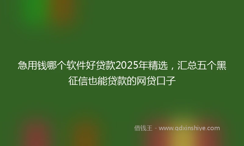 急用钱哪个软件好贷款2025年精选，汇总五个黑征信也能贷款的网贷口子