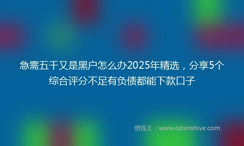 急需五千又是黑户怎么办2025年精选，分享5个综合评分不足有负债都能下款口子