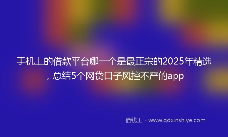手机上的借款平台哪一个是最正宗的2025年精选，总结5个网贷口子风控不严的app
