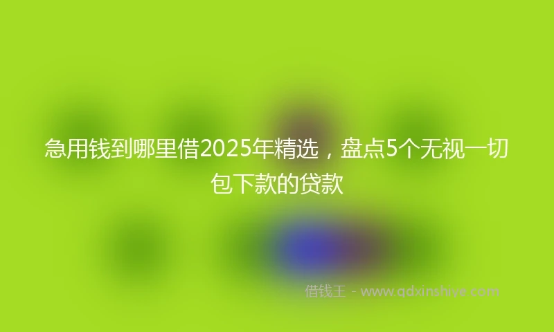 急用钱到哪里借2025年精选，盘点5个无视一切包下款的贷款