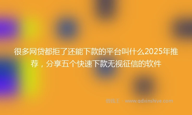 很多网贷都拒了还能下款的平台叫什么2025年推荐，分享五个快速下款无视征信的软件