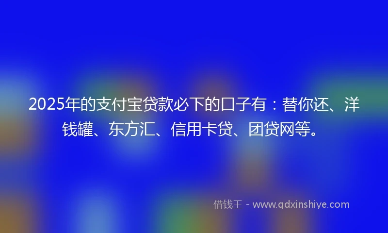2025年的支付宝贷款必下的口子有：替你还、洋钱罐、东方汇、信用卡贷、团贷网等。