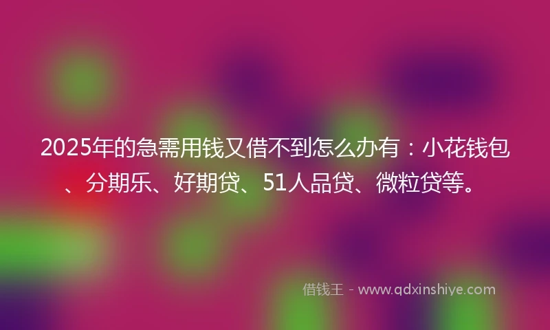 2025年的急需用钱又借不到怎么办有:小花钱包、分期乐、好期贷、51人品贷、微粒贷等。