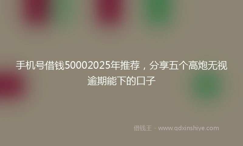 手机号借钱50002025年推荐，分享五个高炮无视逾期能下的口子