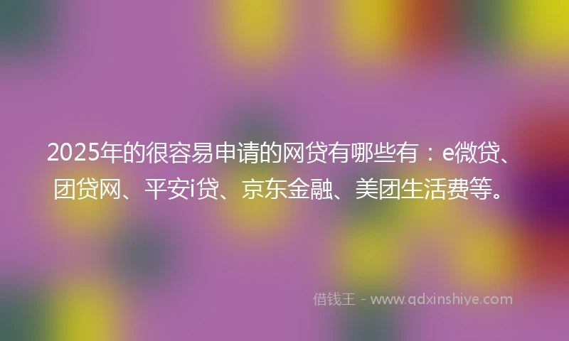 2025年的很容易申请的网贷有哪些有：e微贷、团贷网、平安i贷、京东金融、美团生活费等。