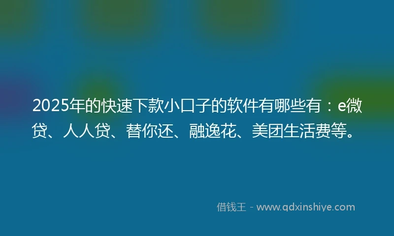 2025年的快速下款小口子的软件有哪些有：e微贷、人人贷、替你还、融逸花、美团生活费等。