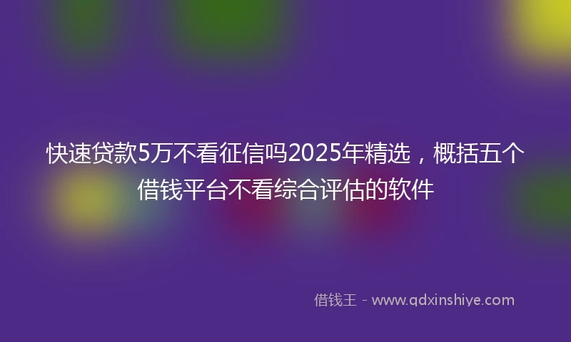 快速贷款5万不看征信吗2025年精选，概括五个借钱平台不看综合评估的软件