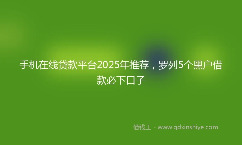 手机在线贷款平台2025年推荐，罗列5个黑户借款必下口子