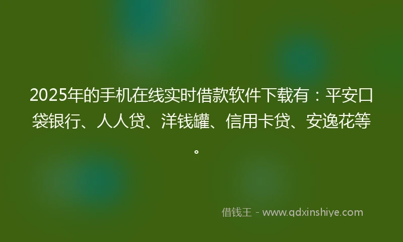 2025年的手机在线实时借款软件下载有：平安口袋银行、人人贷、洋钱罐、信用卡贷、安逸花等。
