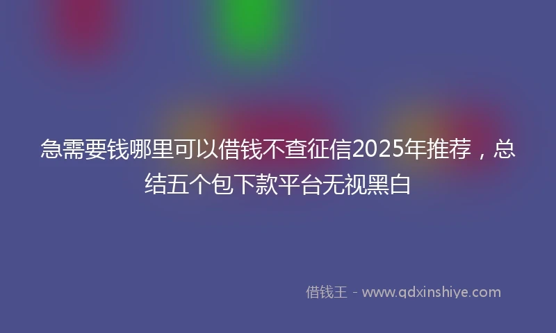 急需要钱哪里可以借钱不查征信2025年推荐，总结五个包下款平台无视黑白
