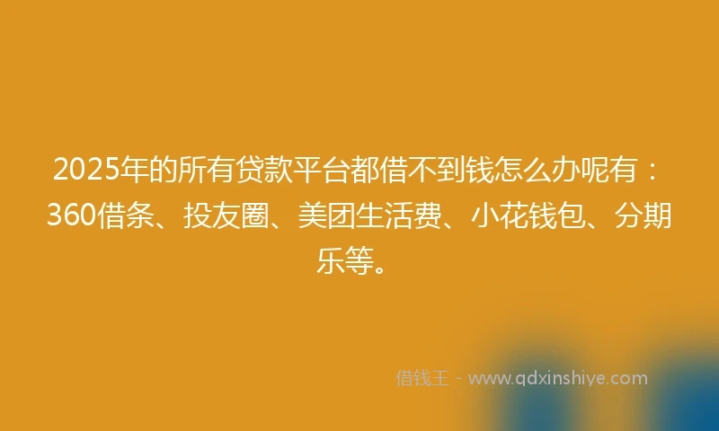 2025年的所有贷款平台都借不到钱怎么办呢有：360借条、投友圈、美团生活费、小花钱包、分期乐等。
