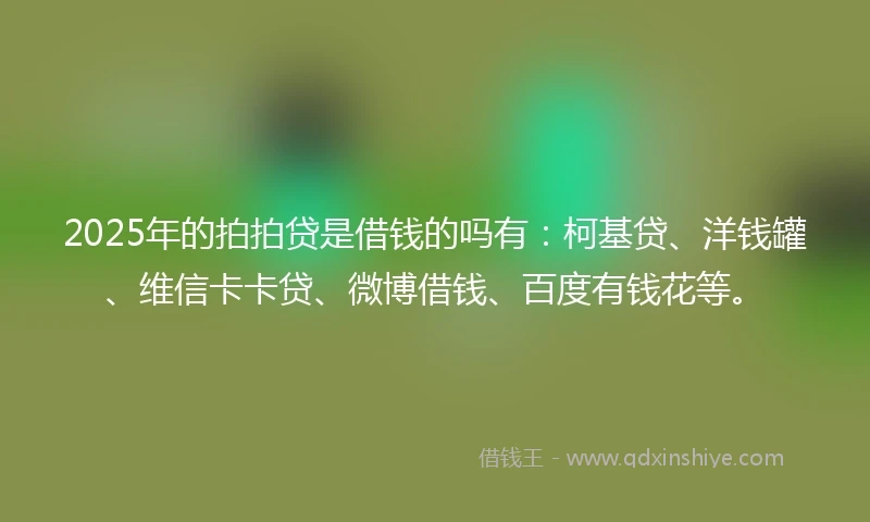 2025年的拍拍贷是借钱的吗有：柯基贷、洋钱罐、维信卡卡贷、微博借钱、百度有钱花等。
