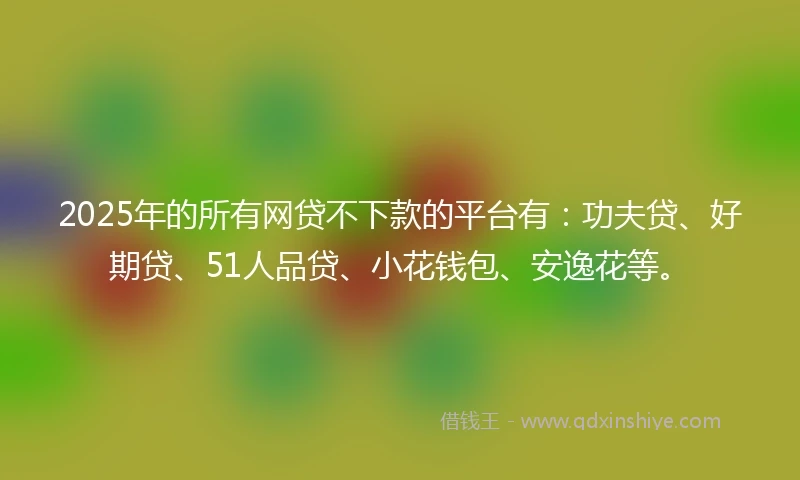 2025年的所有网贷不下款的平台有：功夫贷、好期贷、51人品贷、小花钱包、安逸花等。