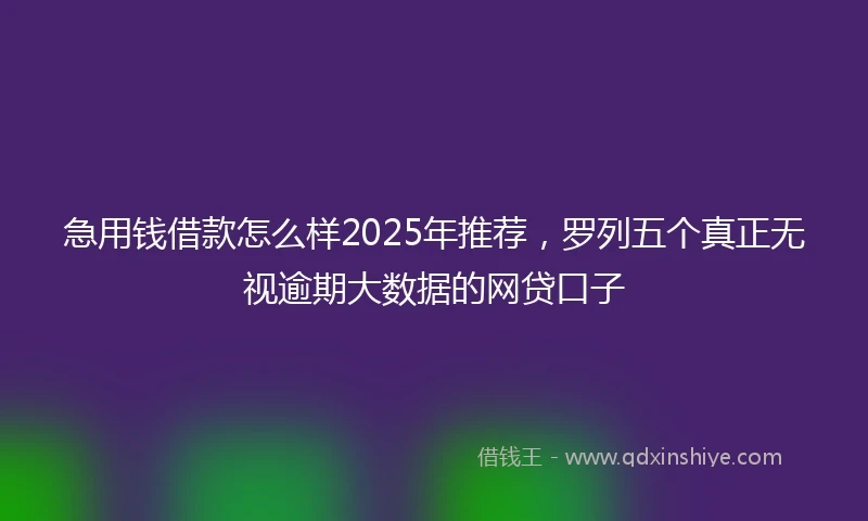 急用钱借款怎么样2025年推荐，罗列五个真正无视逾期大数据的网贷口子