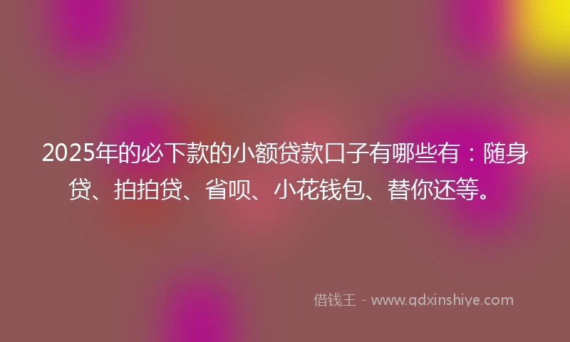 2025年的必下款的小额贷款口子有哪些有：随身贷、拍拍贷、省呗、小花钱包、替你还等。