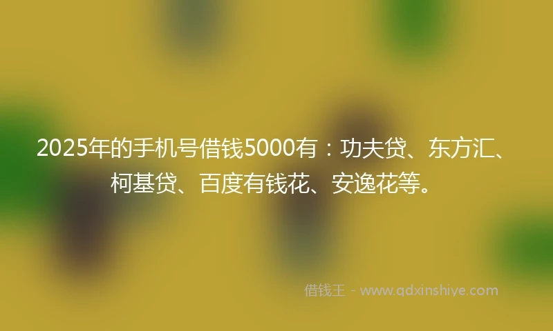 2025年的手机号借钱5000有：功夫贷、东方汇、柯基贷、百度有钱花、安逸花等。