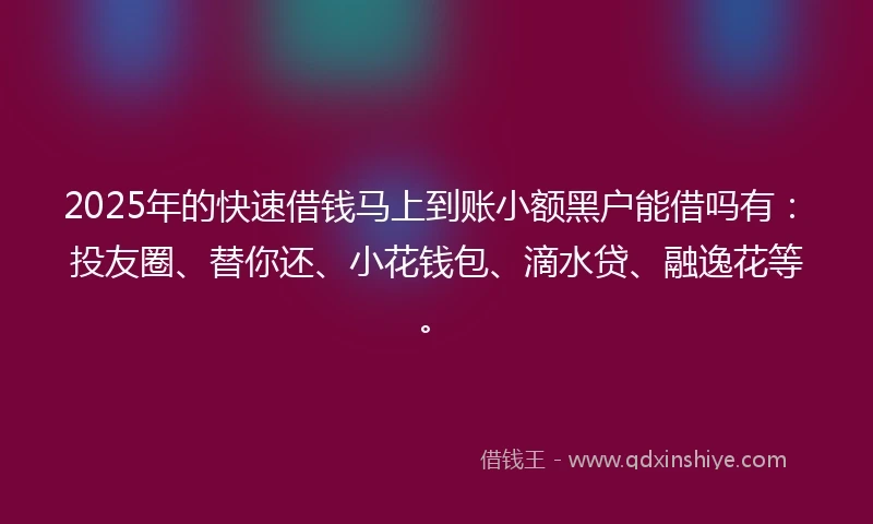 2025年的快速借钱马上到账小额黑户能借吗有：投友圈、替你还、小花钱包、滴水贷、融逸花等。