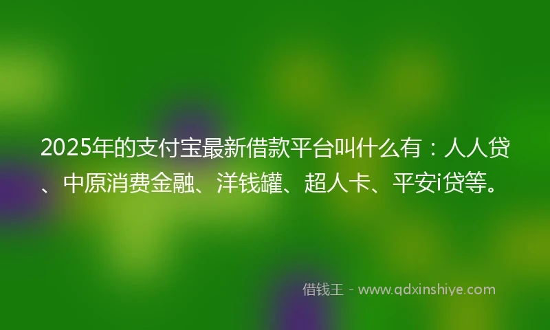 2025年的支付宝最新借款平台叫什么有：人人贷、中原消费金融、洋钱罐、超人卡、平安i贷等。