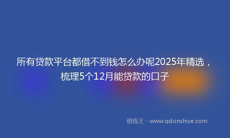所有贷款平台都借不到钱怎么办呢2025年精选，梳理5个12月能贷款的口子